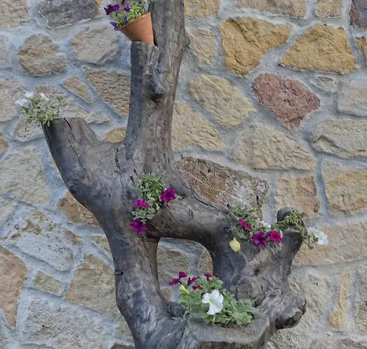 Hotel Santa Inés Hotel Vinuesa