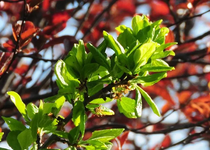 Hotel Santa Inés Hotel